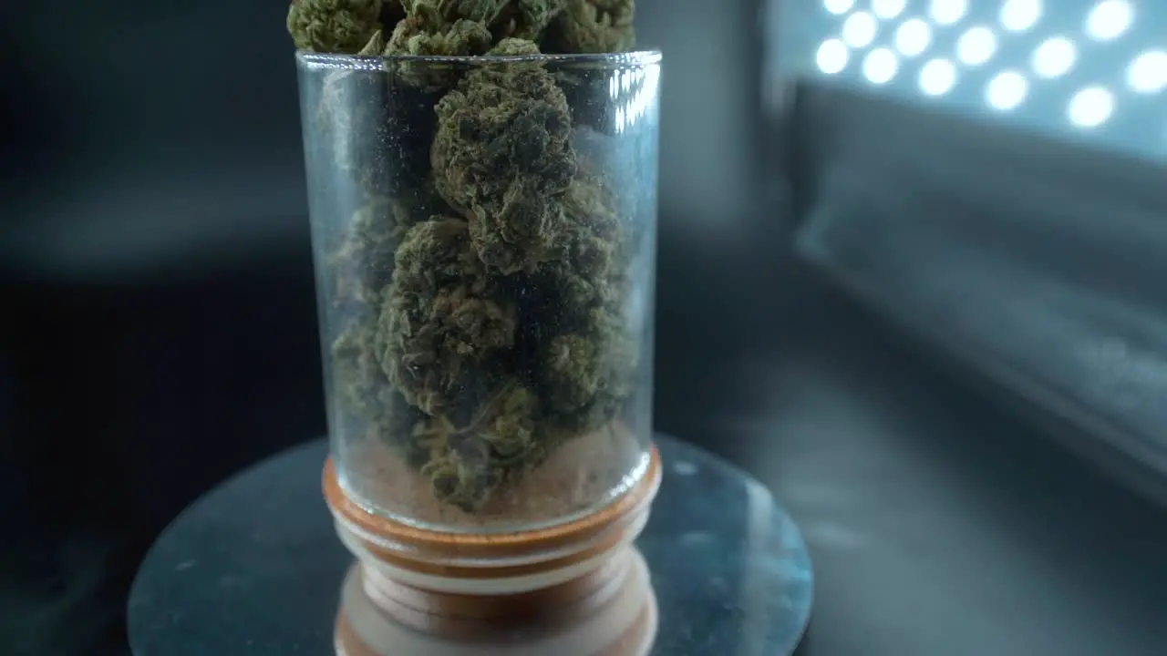 A detailed zoom out shot of a cannabis plant marijuana flower hybrid strains Indica and sativa on a 360 rotating stand in a shiny glass 120 fps slow motion Full HD cinematic studio lighting