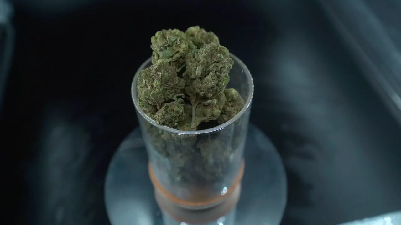 A close up detailed shot of a cannabis plant marijuana flower hybrid strains Indica and sativa on a 360 rotating stand in a shiny glass 120 fps slow motion Full HD cinematic video from above