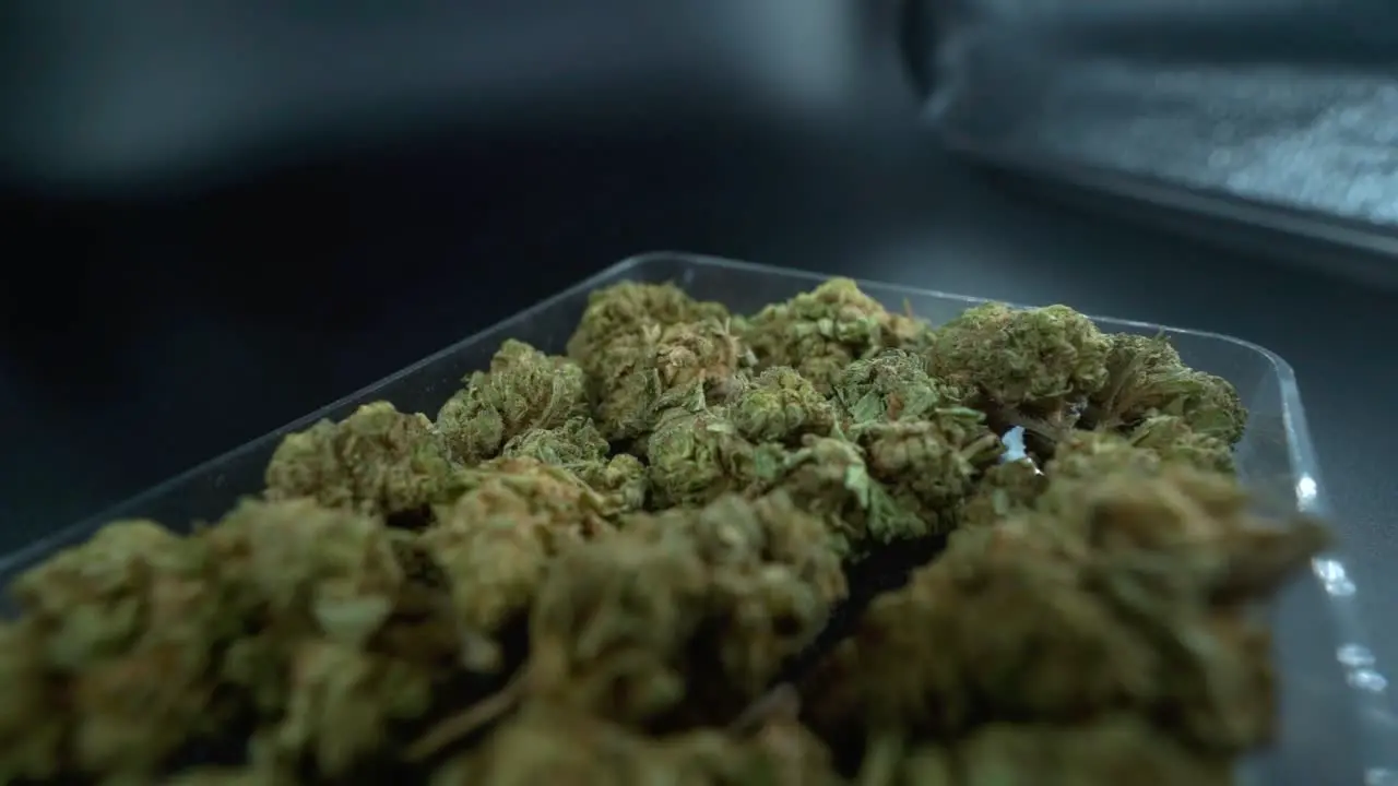 A close up detailed crane movement forward shot of a cannabis plant marijuana flower in a clear plate hybrid strains Indica and sativa 120 fps slow motion Full HD cinematic studio lighting