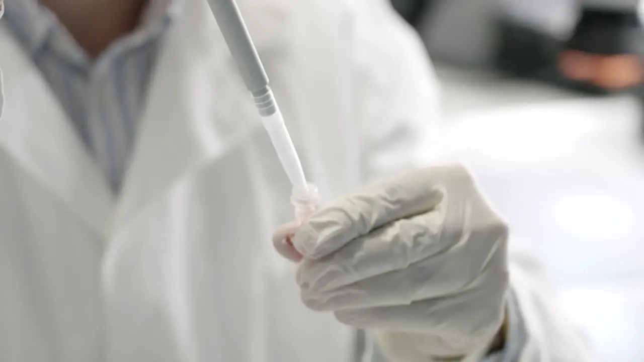 Closeup shot of scientist hands in white gloves getting sample using absorption pipette