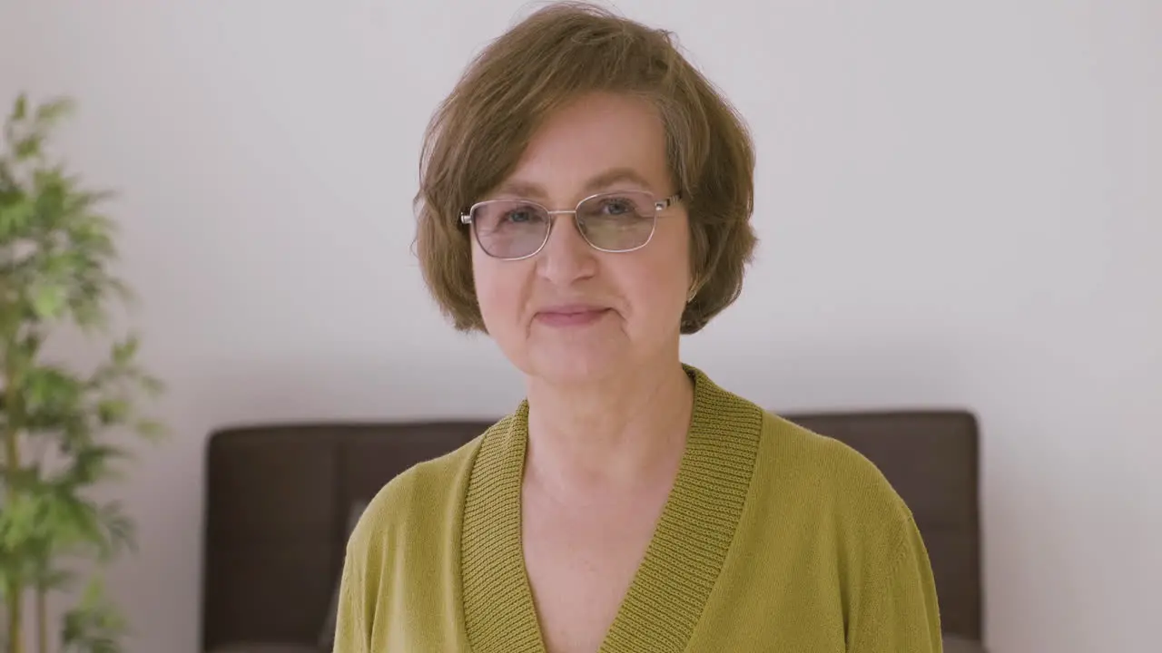 Senior Woman With Gray Hair And Eyeglasses Looking At Camera With Smiling Face