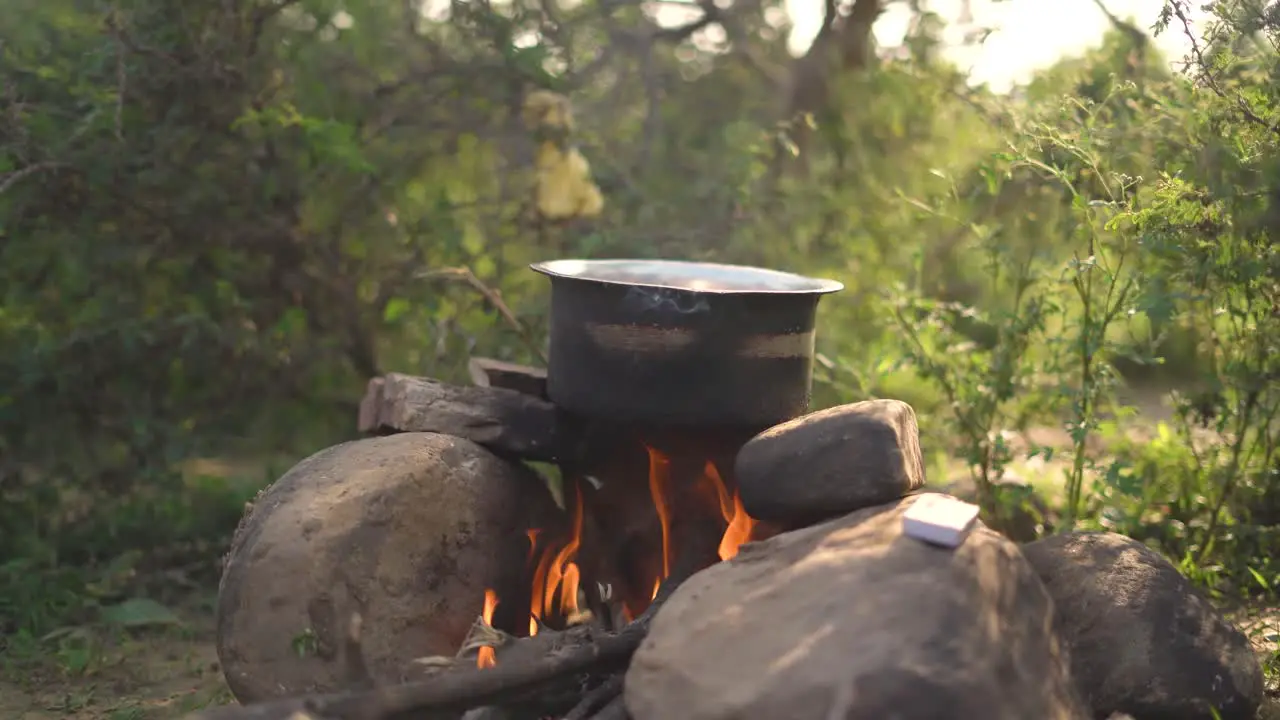 Side shot of Outdoor cooking of Indian food in a pot on campfire flames in nature  India