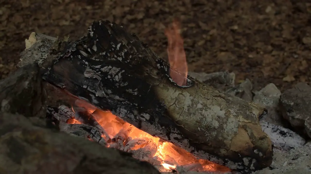 Outdoor campfire during the ITalian summer celebration of Ferragosto