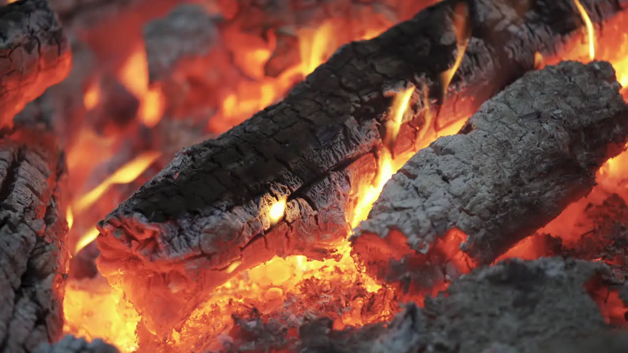 Roaring campfire closeup in the evening