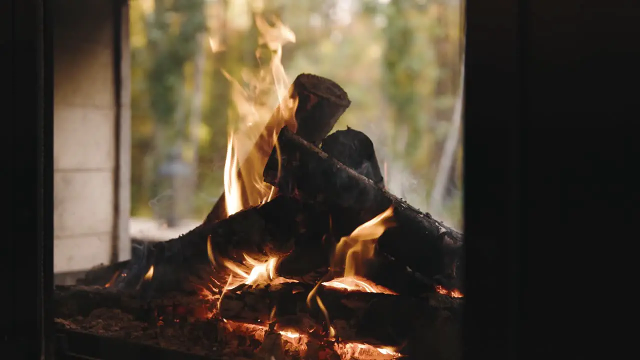 Wood burning in a fire camp with a view of a forest