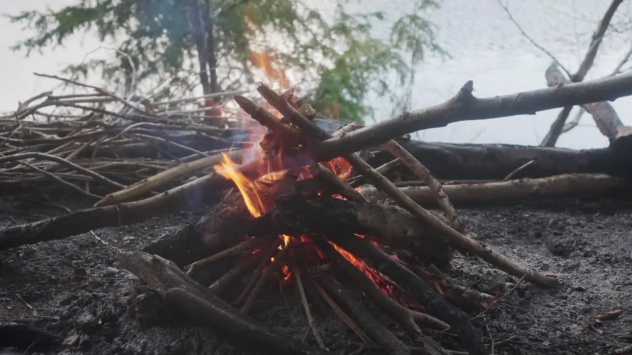 Orange Flames From Wood Sticks At Campfire Beside River