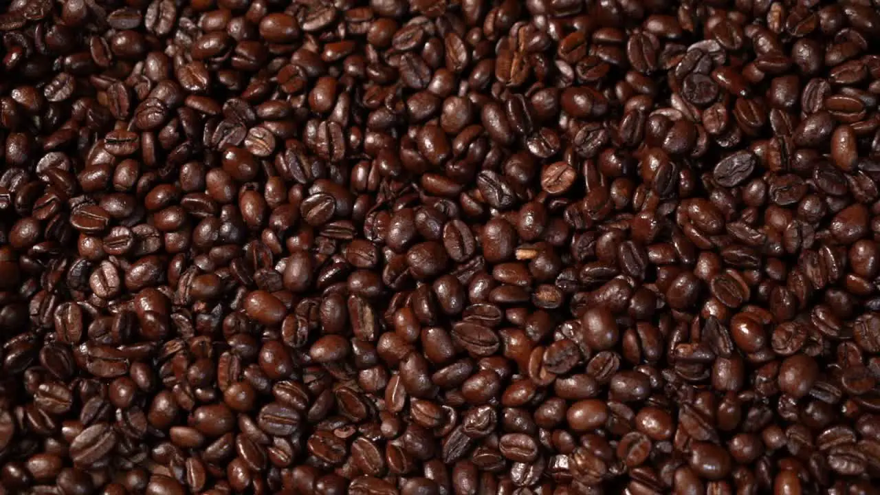 Slow Pan across dark coffee beans HD