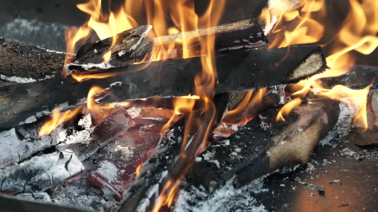 Dry wood burns in the fire slow motion