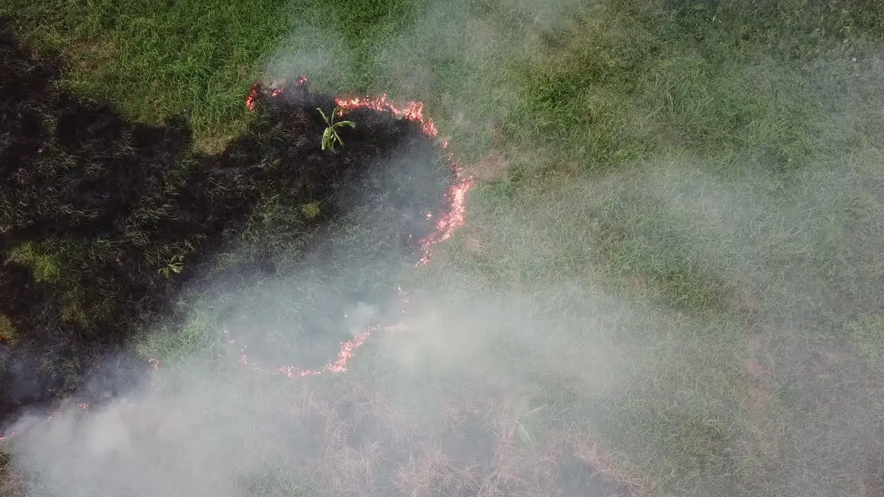 Emission air pollutant due to open fire by farmer at Malaysia Southeast Asia