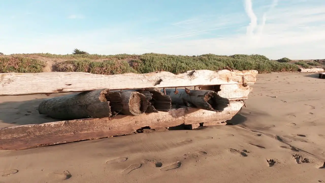 Old pier wood drifted upon the shoreline on a sunny day