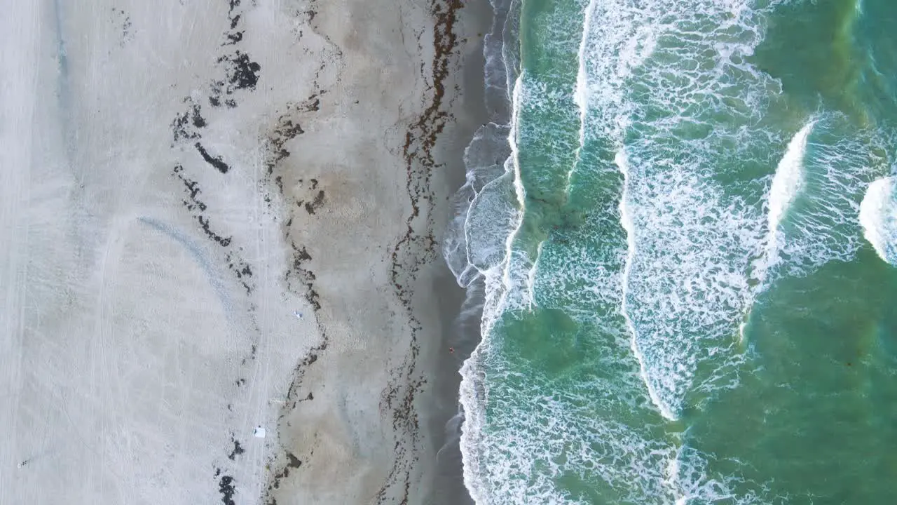 Tropical Sandy Beach in Florida Aerial Top Vertical Footage