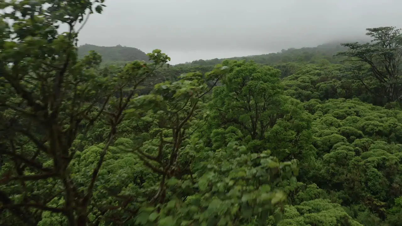 Nature View Of Log Gemelos In Santa Cruz Island Galapagos Ecuador Drone Aerial