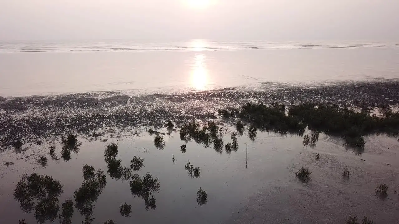 Silhouette of mangrove tree in the coastal at Kuala Muda Kedah