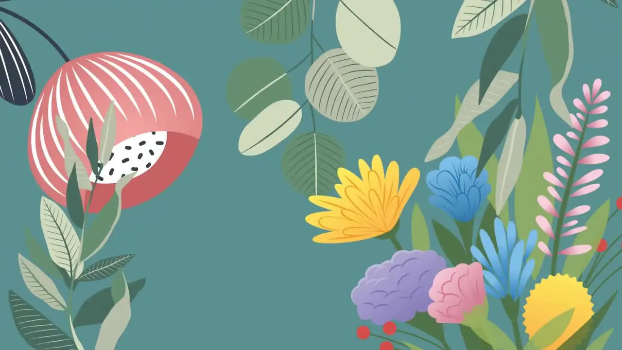 Animation of colourful flowers and green foliage on grey background