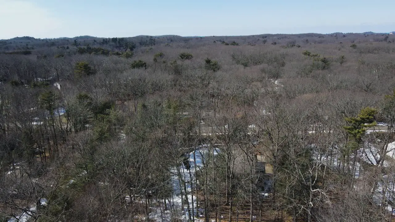 Soft motion in the early spring over trees