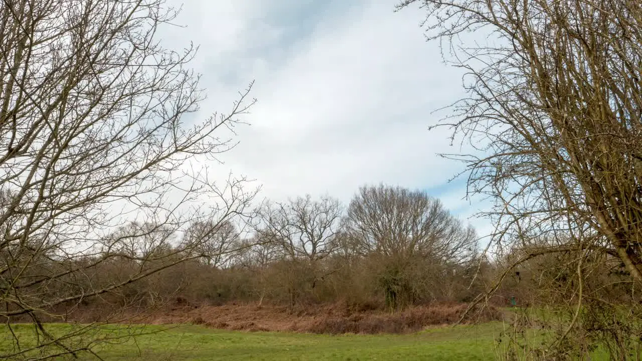 Clouds static time-lapse in a park