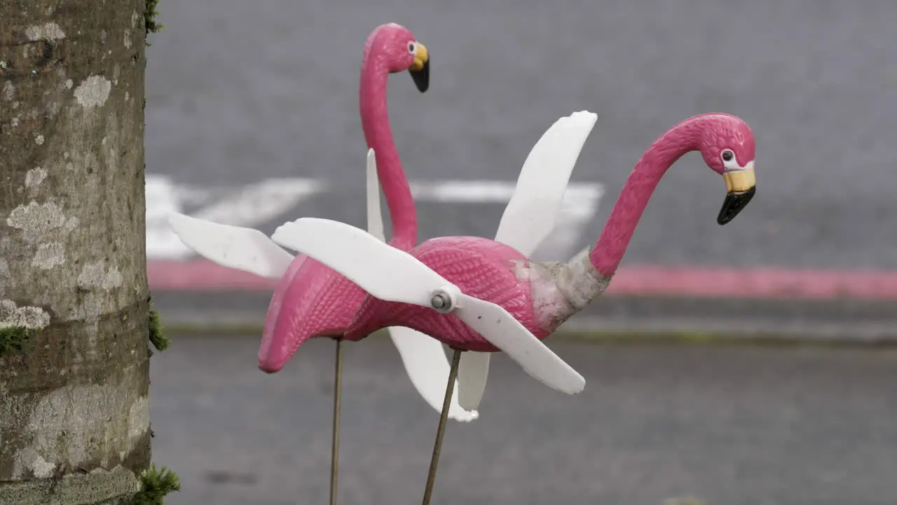 Two flamingo lawn spinners look tired and worn after a long winter