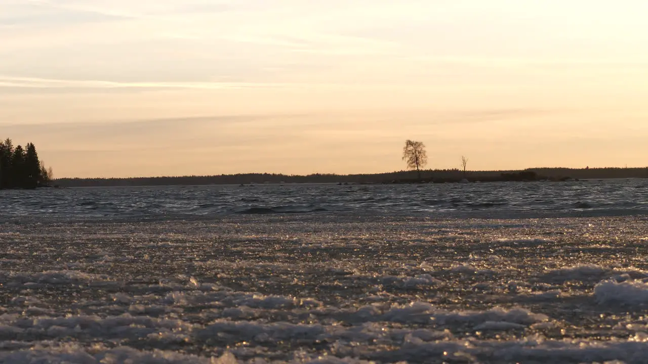 Single tree island harsh cold climate waves of ice drifting