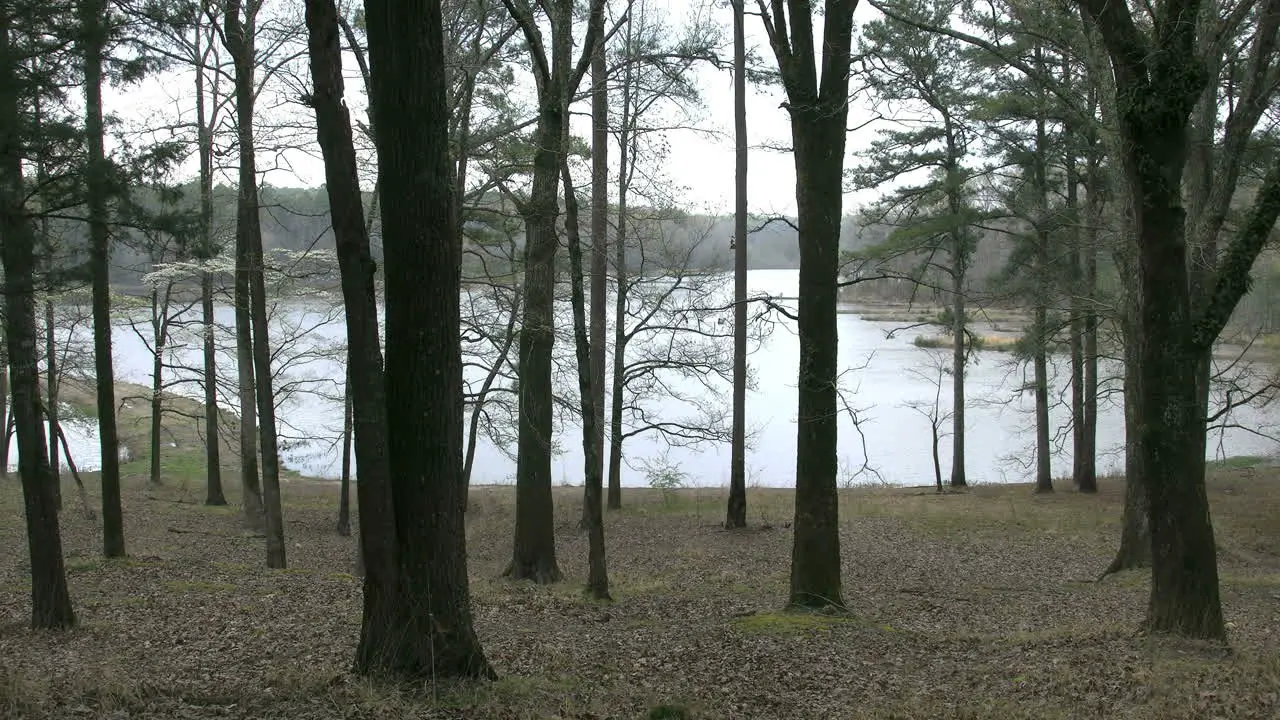 Mississippi Small Lake Beyond Trees