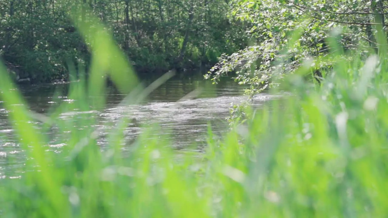 Calm creek running in slow motion