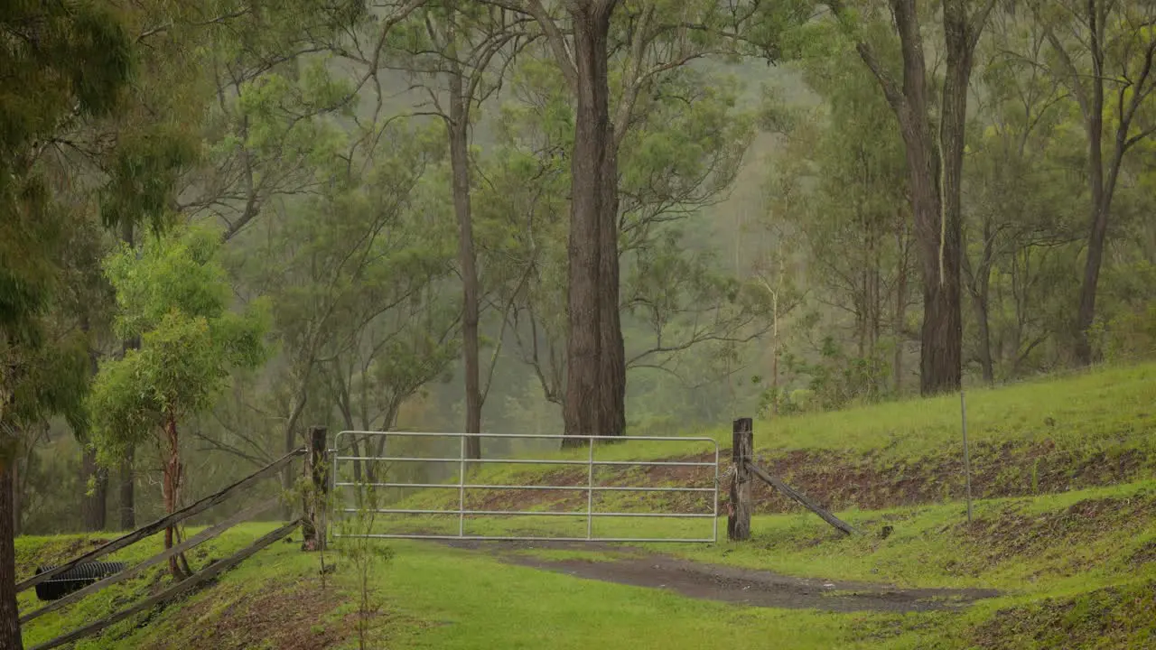 Farm gate in the Australian bush under gentle rain