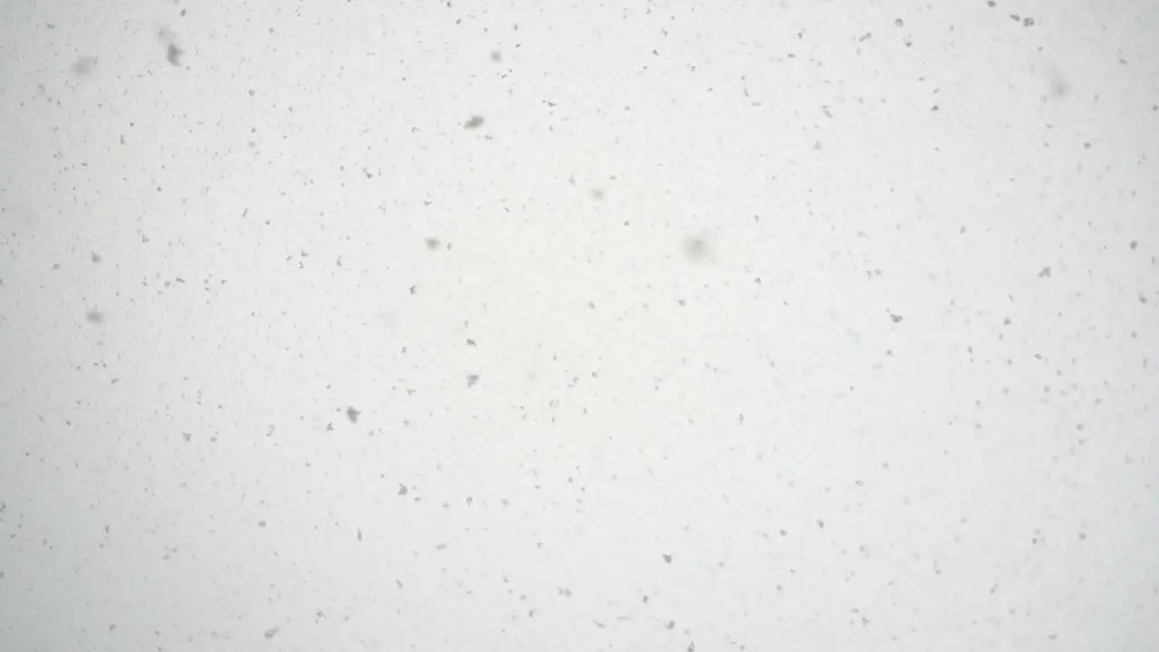 snowing heavily with one flake hitting the lens while looking upwards