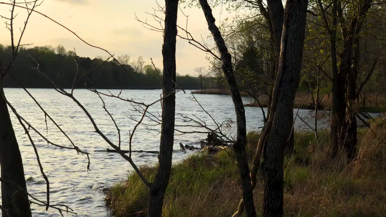 Lake shoreline at sunset