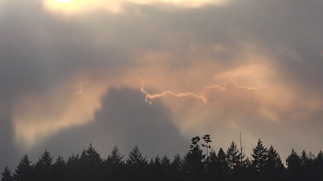 Oregon Sun Rays Beyond Trees Time Lapse