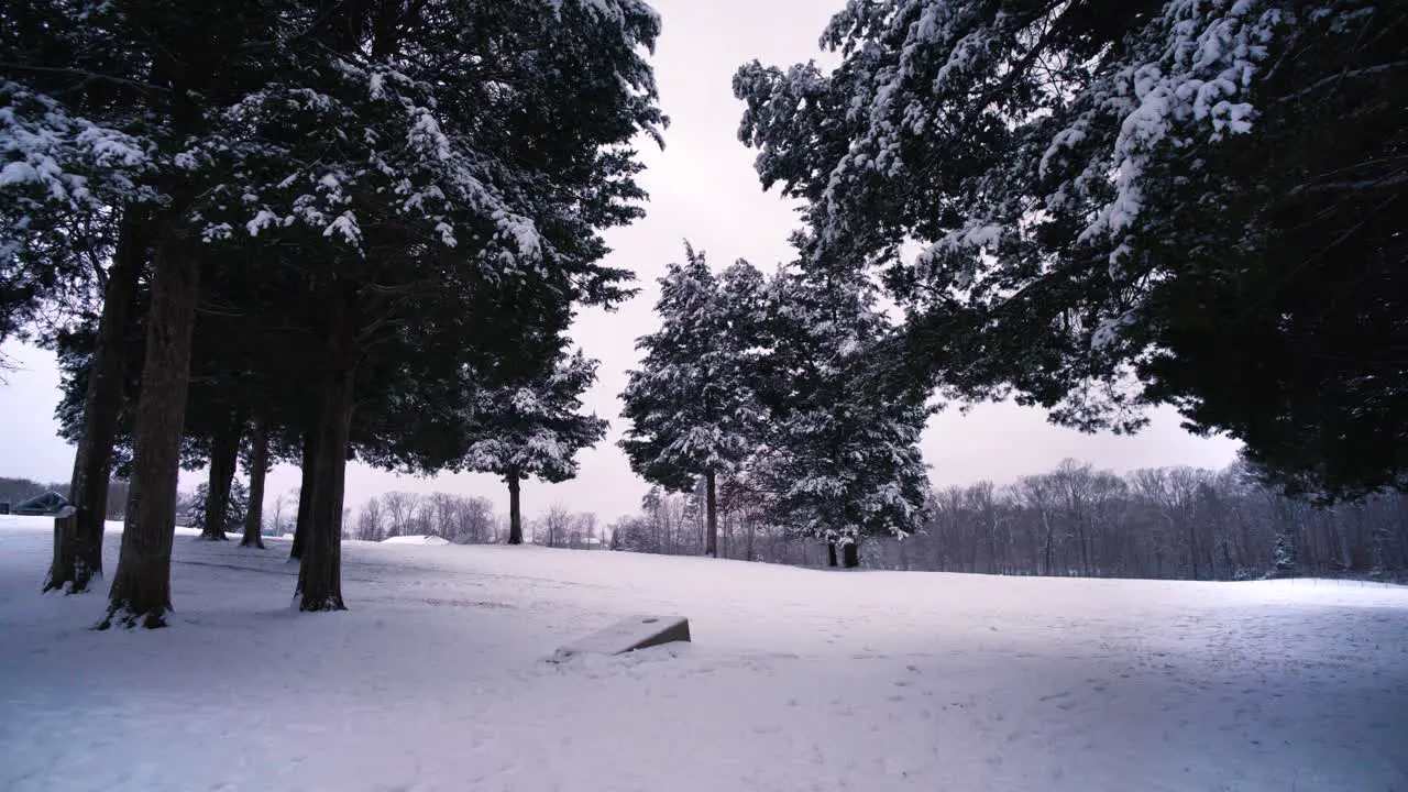 Snow fall in park forest manassas in winter