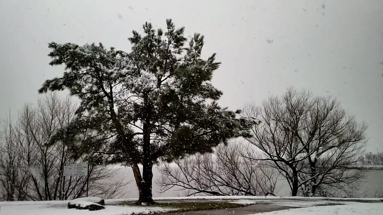 Texas snow flakes falling in slow motion with trees lake and gloomy skies the in background