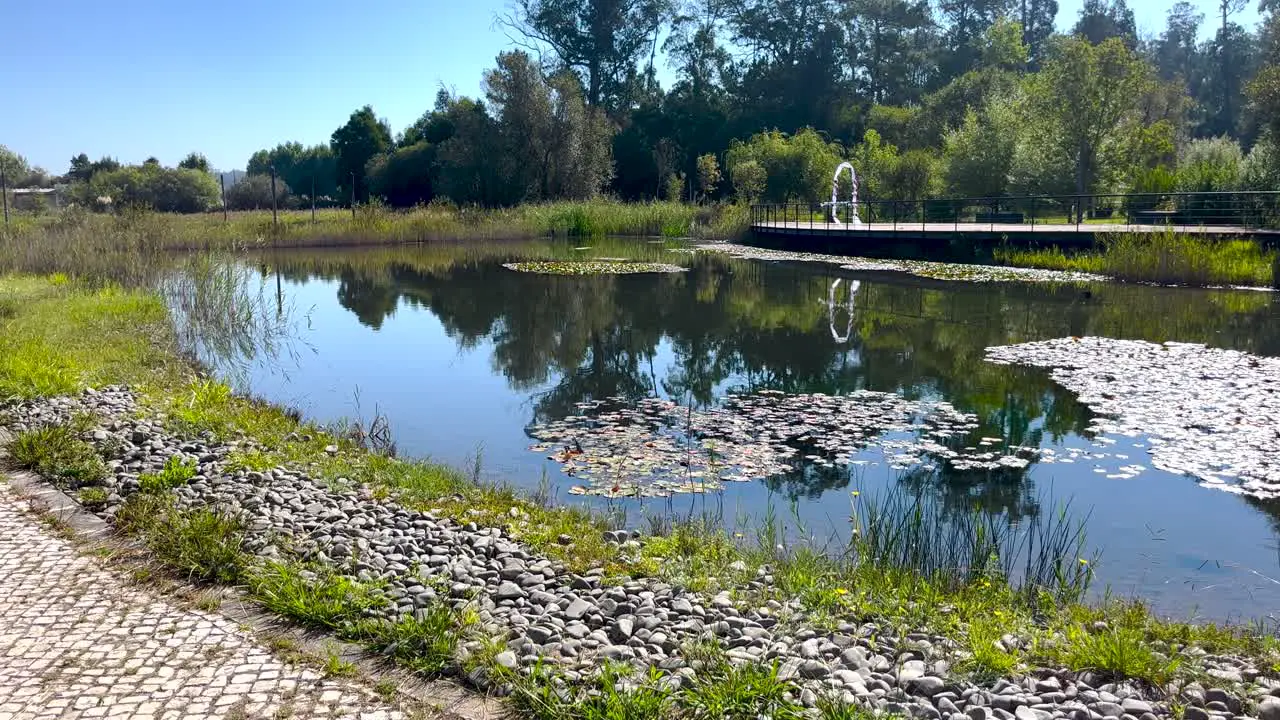 Peaceful and idyllic atmosphere at outdoors near water pond and walking pedestrian park captured during nice sunshine weather leisure and recreational concept