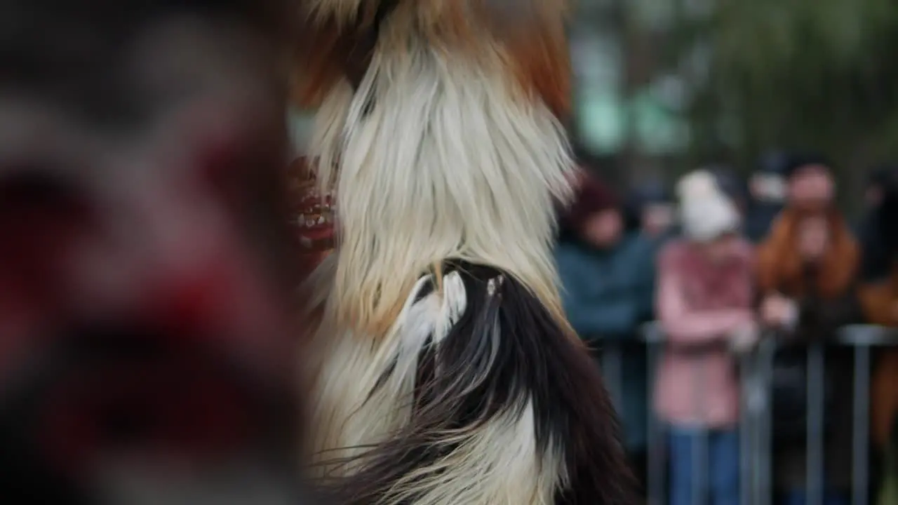 Hairy mask on a long head with horns part of a costume of a bulgarian kuker with a foreground transition