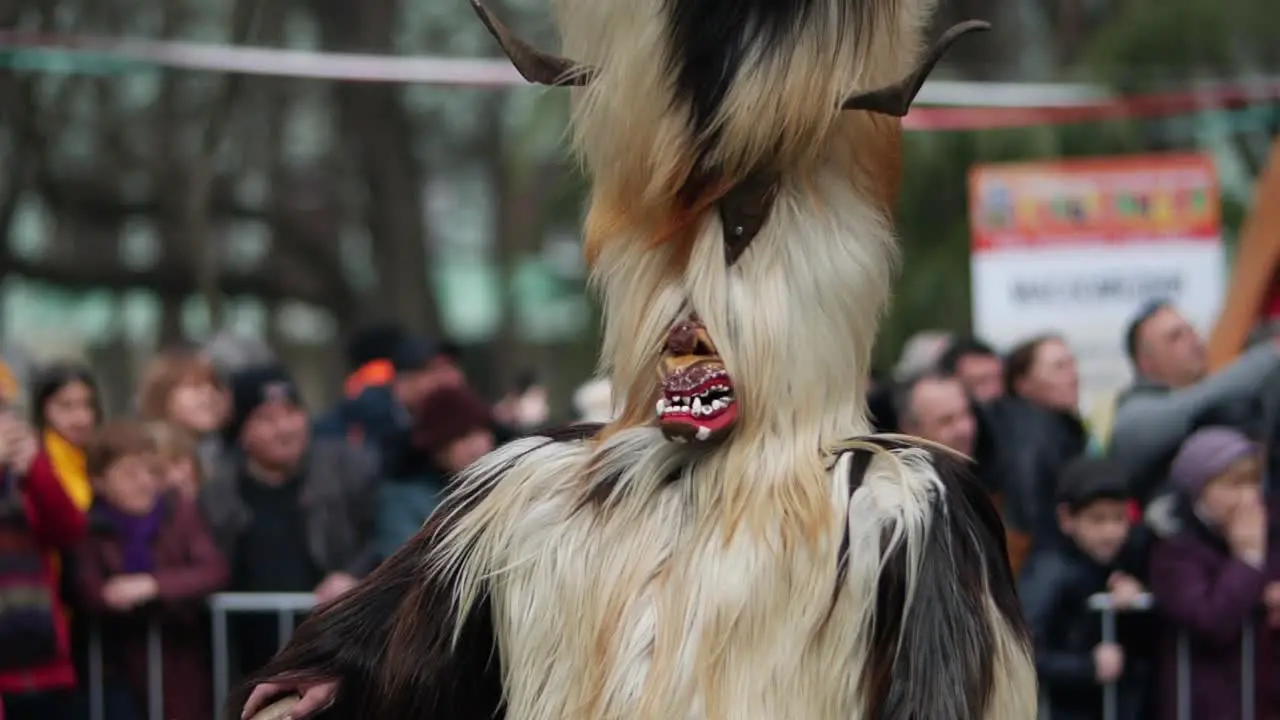 Hairy mask on a long head with horns part of a costume of a bulgarian kuker