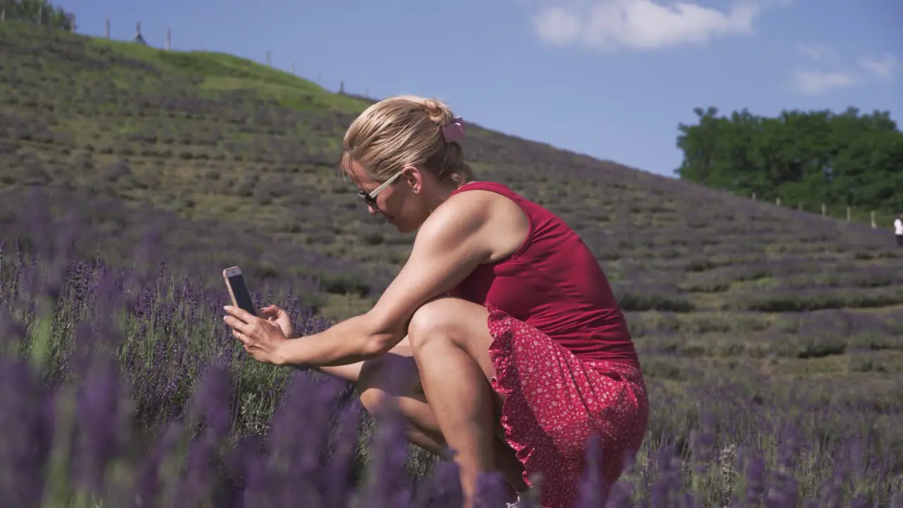 Woman in red taking pictures of lavender