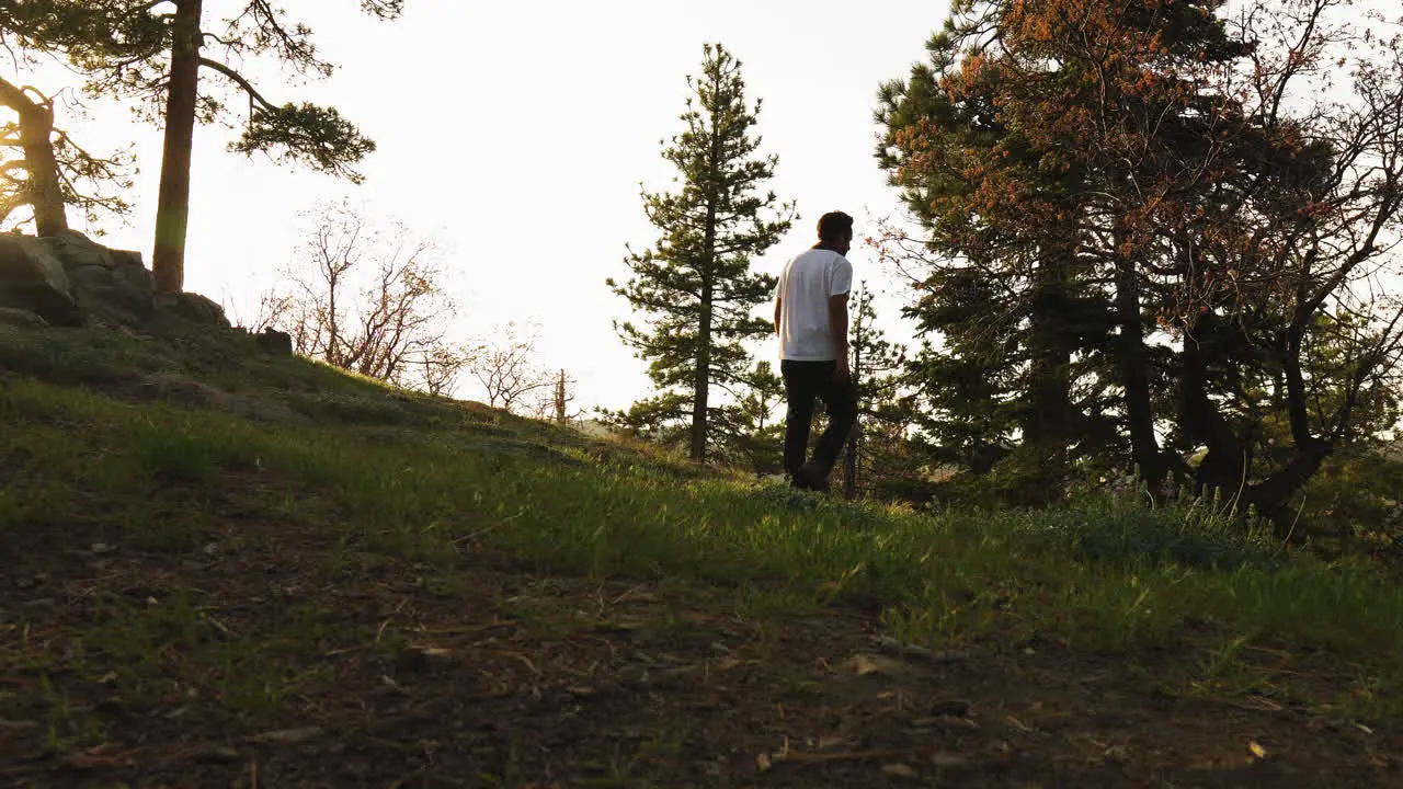 Man strolls in sunny forest long shot