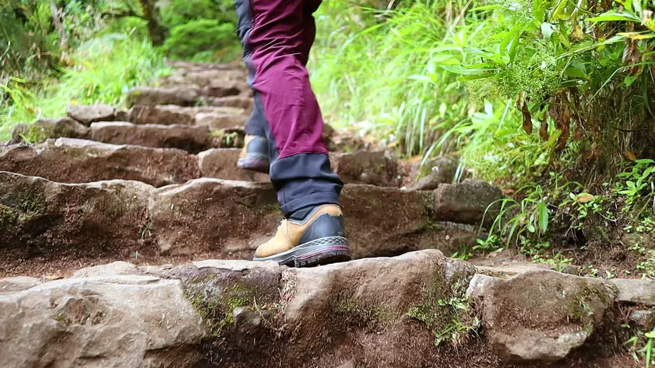 young person climbs the stone stairs in the green lush forest close up shot