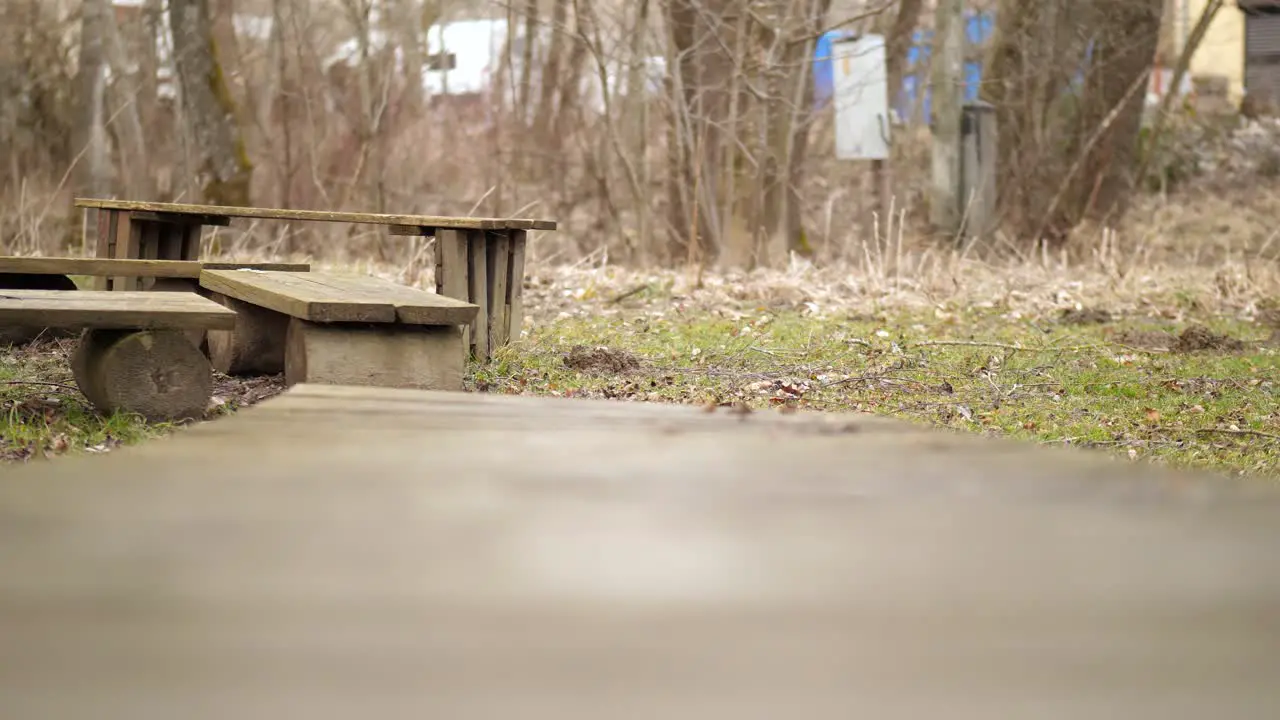 a fluffy wolfsspitz also known as keeshond runs over a bridge out of wook