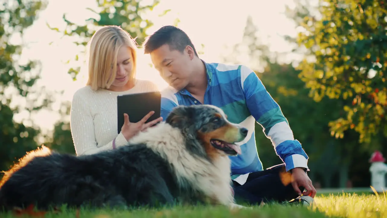 Couple Using a Tablet With Dog Nearby