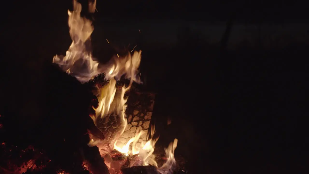 Big Flames Burning Piece of Wood Night 4K