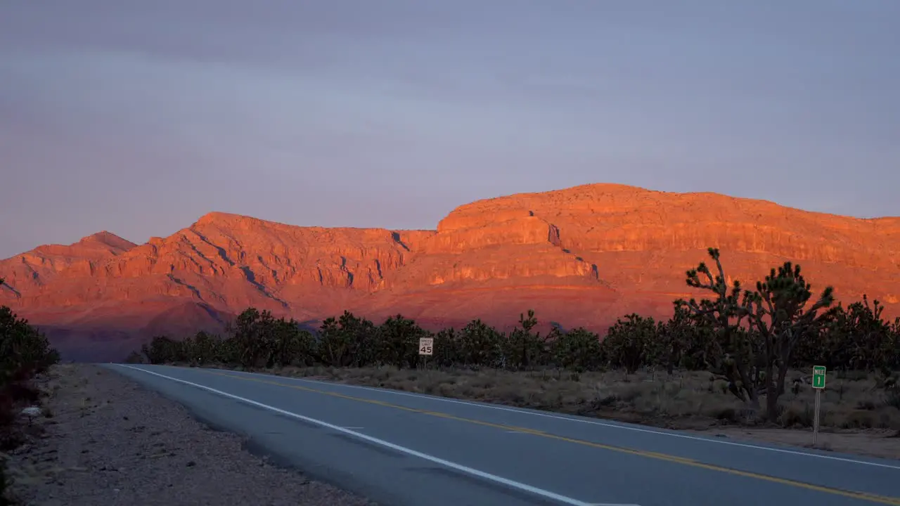 Car driving along Joshua trees with glowing mountain during sunset