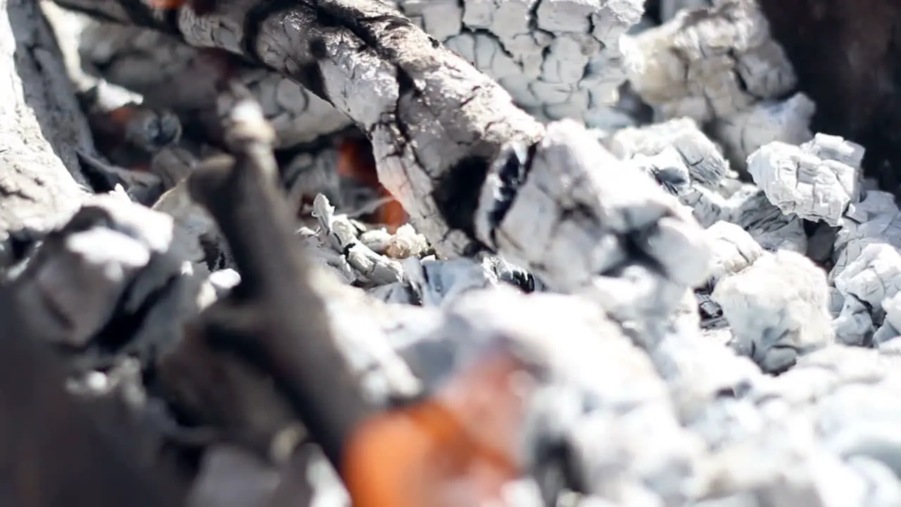 Charcoal Burning charcoal Closeup Preparing wood ember for barbecue grill