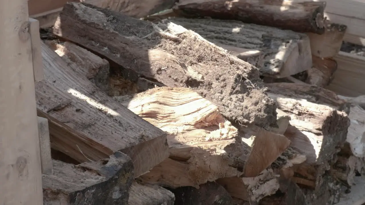 A man stacks firewood neatly to prepare for winter