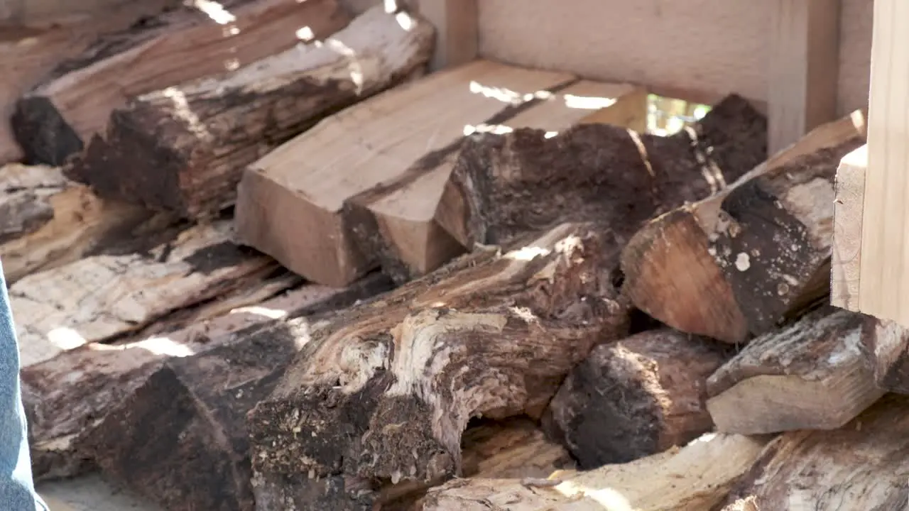 A man prepares for winter by stacking firewood in his backyard