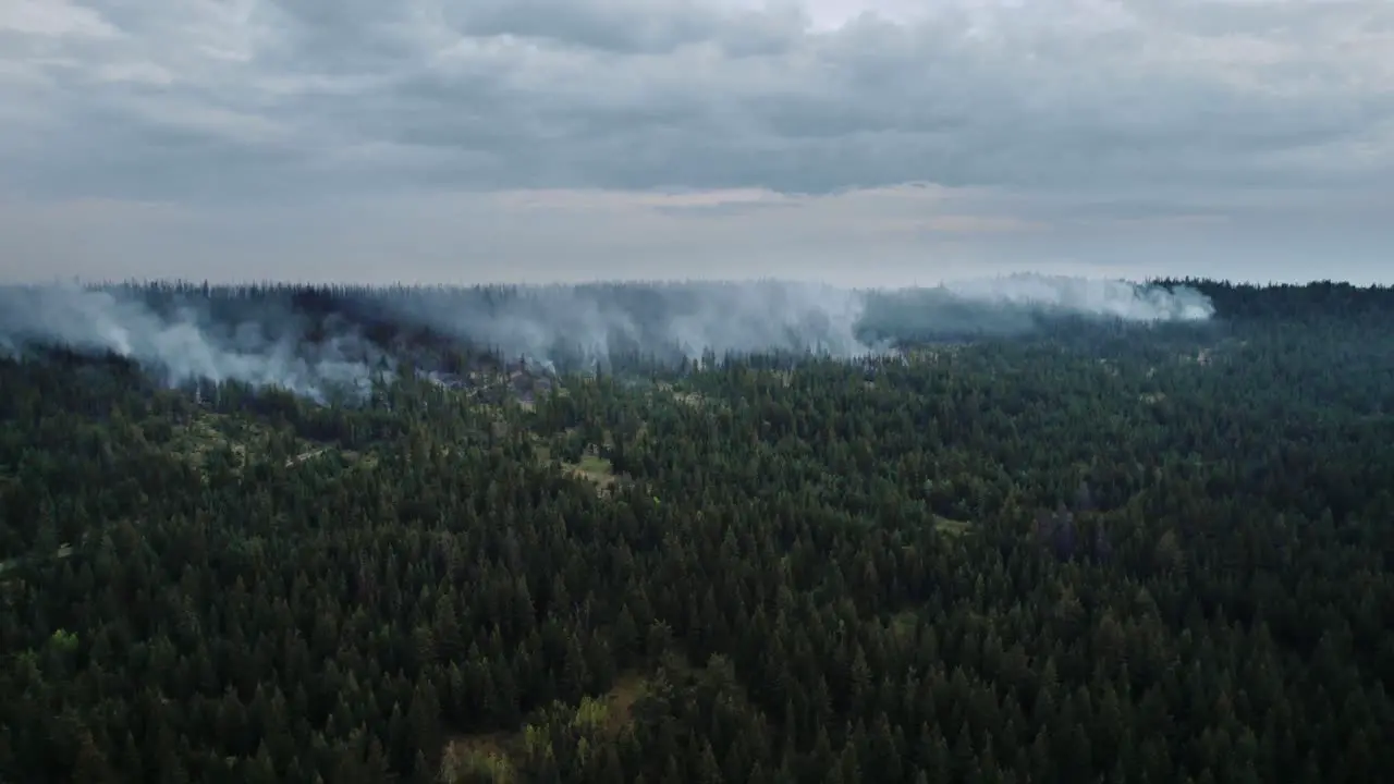 Forest Fire Flames And Smoke Clouds Aerial Drone