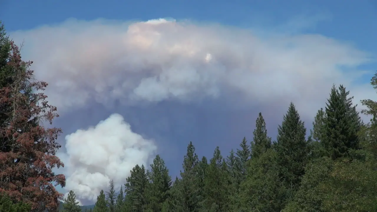 California Double Smoke Cloud