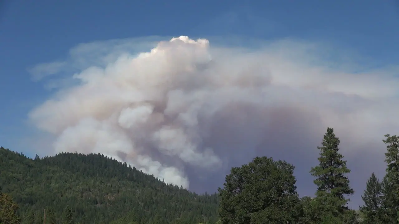 California Billowing Cloud Of Smoke Over Trees