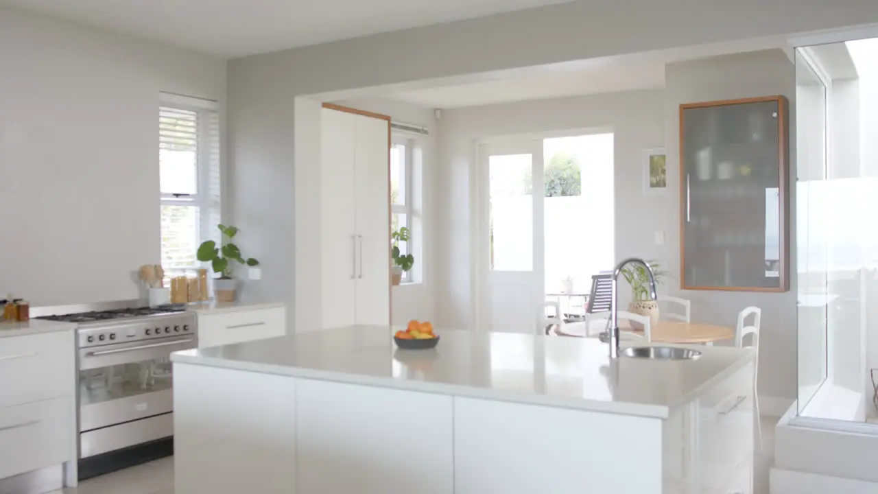 Big white empty kitchen with plants big wardrobe and oven slow motion