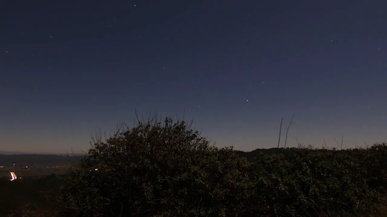 Star-lapse of shrubs and highway