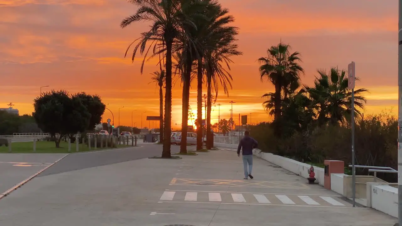 Beautiful sunrise revealed from palm trees with silhouette of man walking in car parking