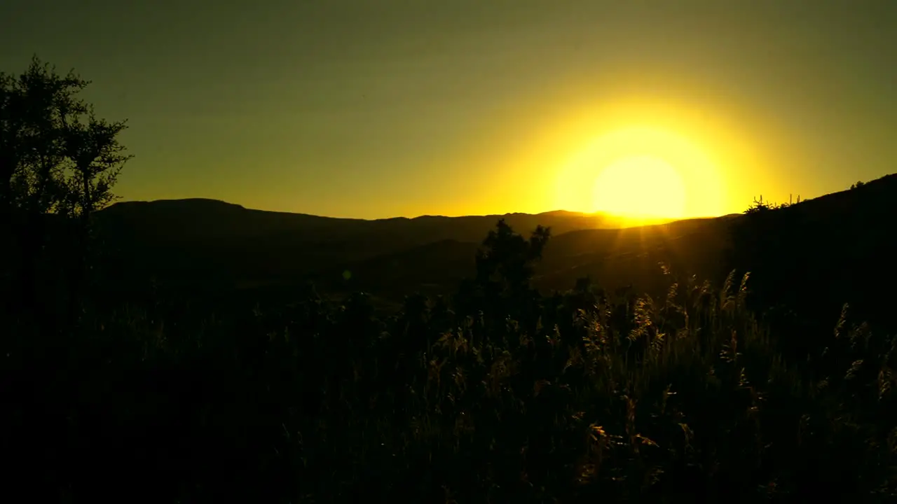 Sunset over mountain field rising sunset shot Yellow sun over shaded trees and plants